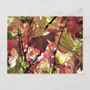 CARTE POSTALE AUTOMNE