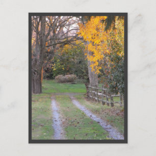 Carte Postale ~ Automne ~ 30