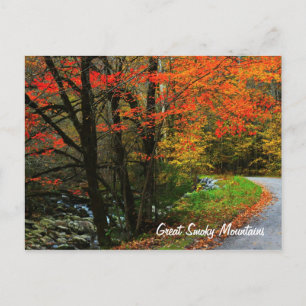 Carte Postale Automne à Tremont - Great Smoky Mountains