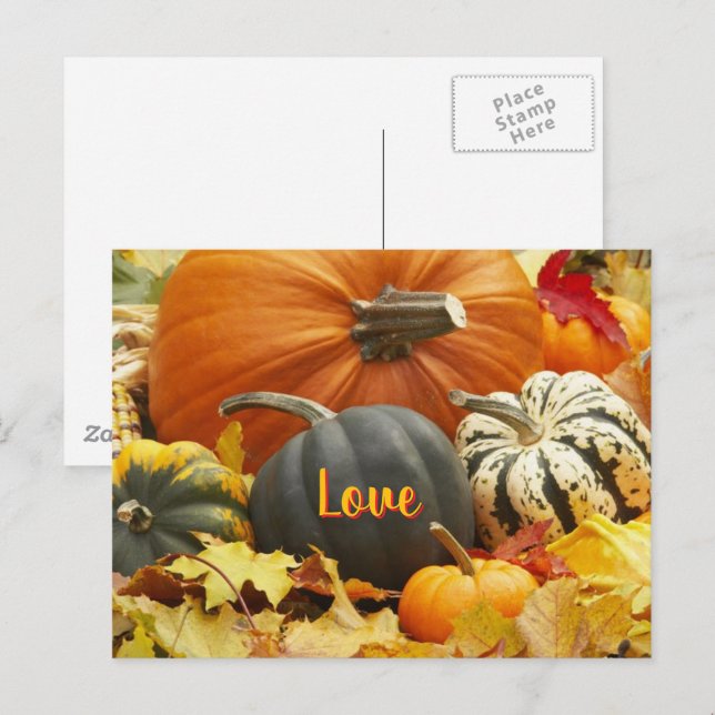 Carte Postale Automne Amour Automne Photo Feuilles Citrouilles (Devant / Derrière)