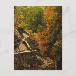 Carte Postale Automne au Parc d'état de Treman