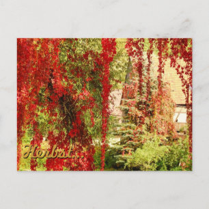Carte Postale Automne / Automne