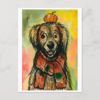 Carte postale Automne, Chien avec un Citrouille, A
