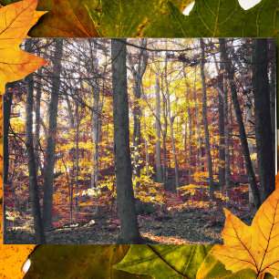 Carte postale Automne Colorée Noire Et Blanc