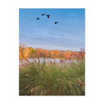 Automne Connecticut peint