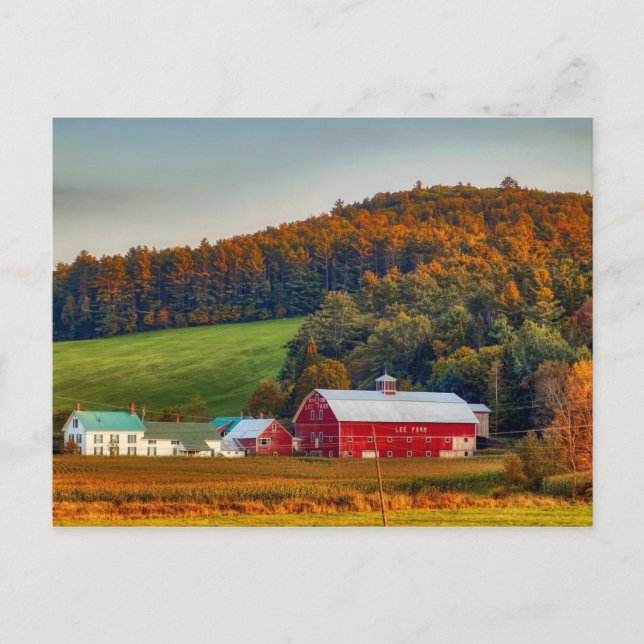 Carte Postale Automne dans le New Hampshire (Devant)