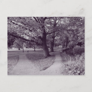Carte Postale Automne dans le parc - Purple Toned BW