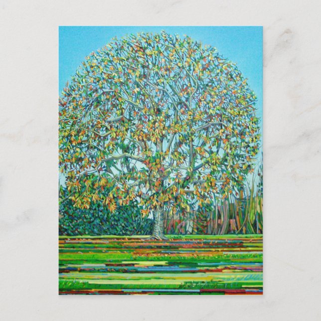 Carte Postale Automne d'arbre d'arc (Devant)