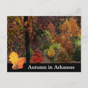 Carte Postale Automne en Arkansas / Saison d'automne Arbres Phot