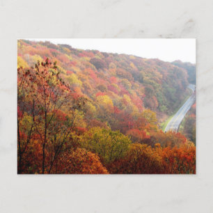 Carte Postale Automne en Caroline du Nord