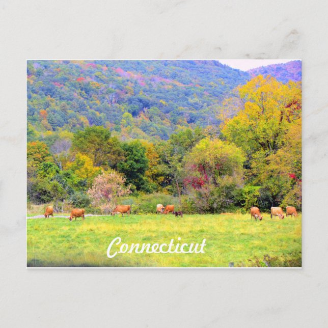 Carte Postale Automne en CT (Devant)