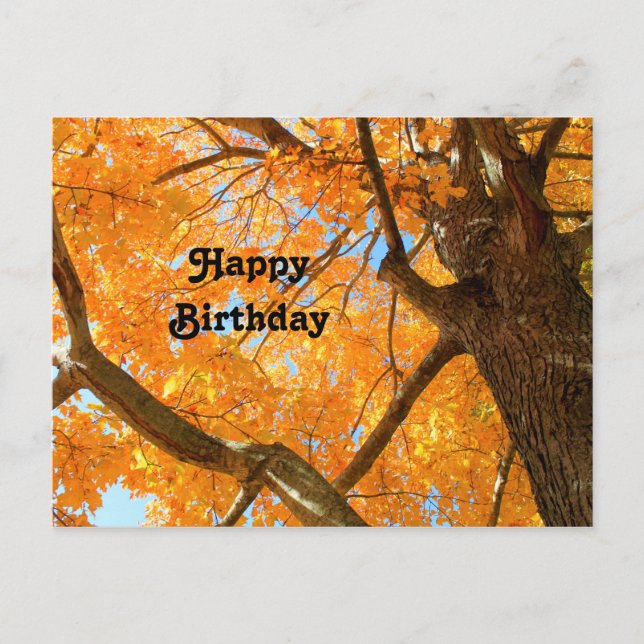 Carte Postale Automne Jaune de l'érable Photo Anniversaire (Devant)