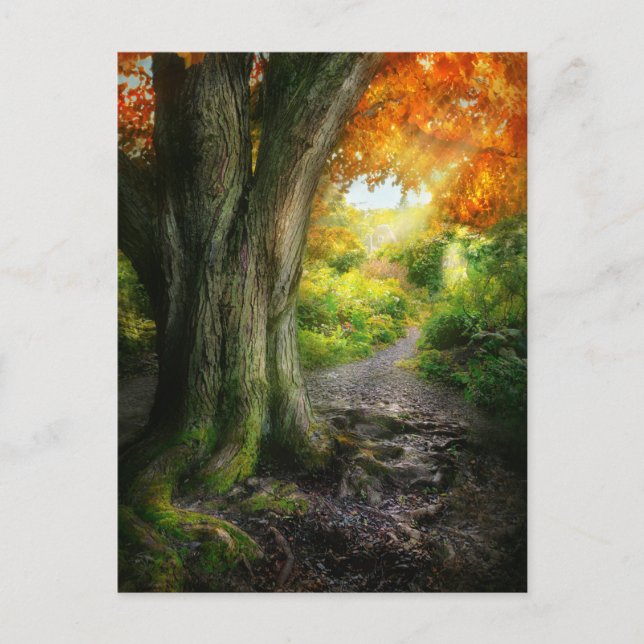 Carte Postale Automne - Le chemin de la maison des grand-mères (Devant)