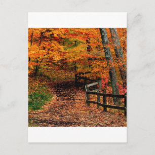 Carte Postale Automne Mccormick Creek State Park Indiana