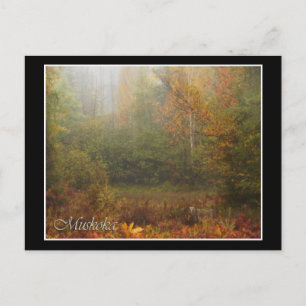 Carte Postale Automne Muskoka