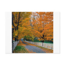 Automne Pittoresque Backroad New Hampshire