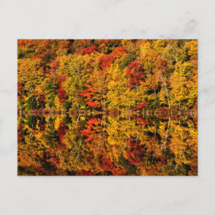 Carte Postale Automne Réflexion sur Russell Pond   New Hampshire