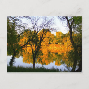 Carte Postale Automne Winnipeg