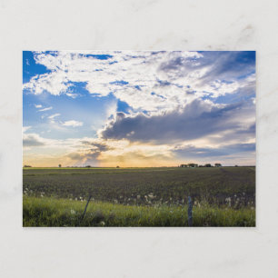 Carte Postale Autre coucher de soleil