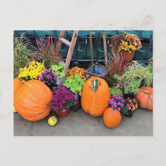 Carte Postale Autumn Decor (Devant)