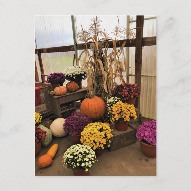 Carte Postale Autumn Decor (Devant)