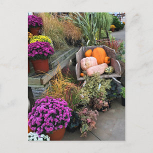 Carte Postale Autumn Decor