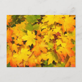 Carte Postale Autumn Leaf Tree Fall Nature Forest Destinée Saiso