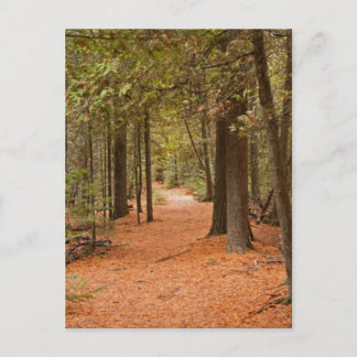 Carte Postale Autumn Walk