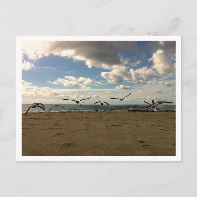 Carte postale aux oiseaux volants (Devant)