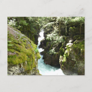 Carte Postale Avalanche Gorge II dans le parc national de Glacie