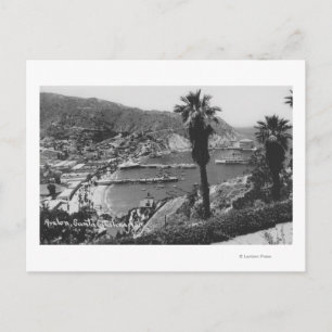 Carte Postale Avalon, CA Père Noël Catalina Island Vue du port