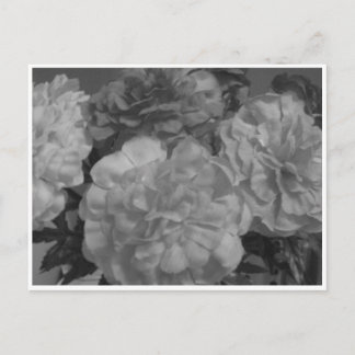 Carte Postale "...Avec amour de ma part, à vous..."