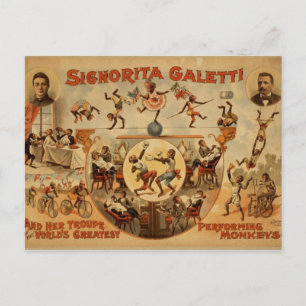 Carte Postale Avec Ancien Poster De Cirque