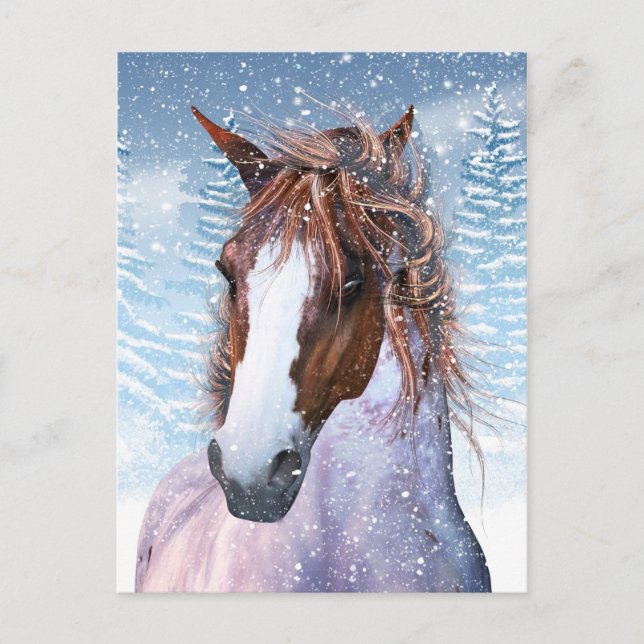 Carte postale Avec Cheval D'Hiver Dans La Neige (Devant)