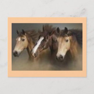 Carte postale avec chevaux