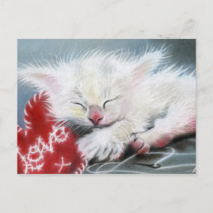 Carte postale avec coeur de chaton blanc Love