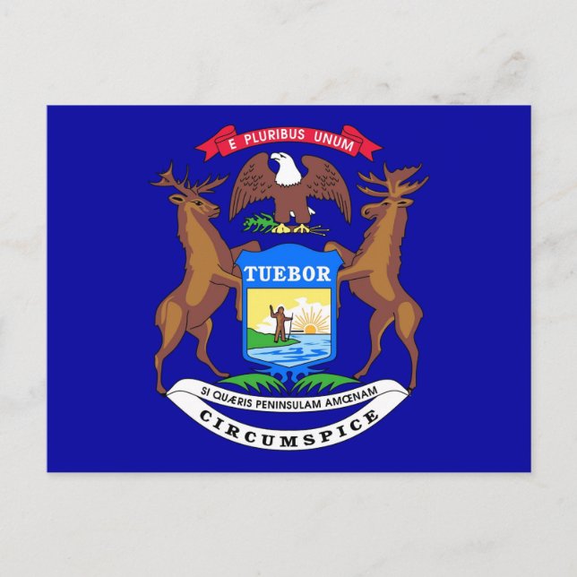Carte postale avec drapeau de l'état du Michigan - (Devant)