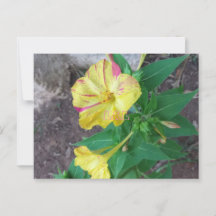 Carte postale avec enveloppe blanche