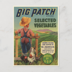 Carte postale avec imprimé Vintage Jeune Enfant et