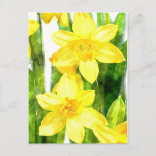 Carte postale avec jonquilles en aquarelle