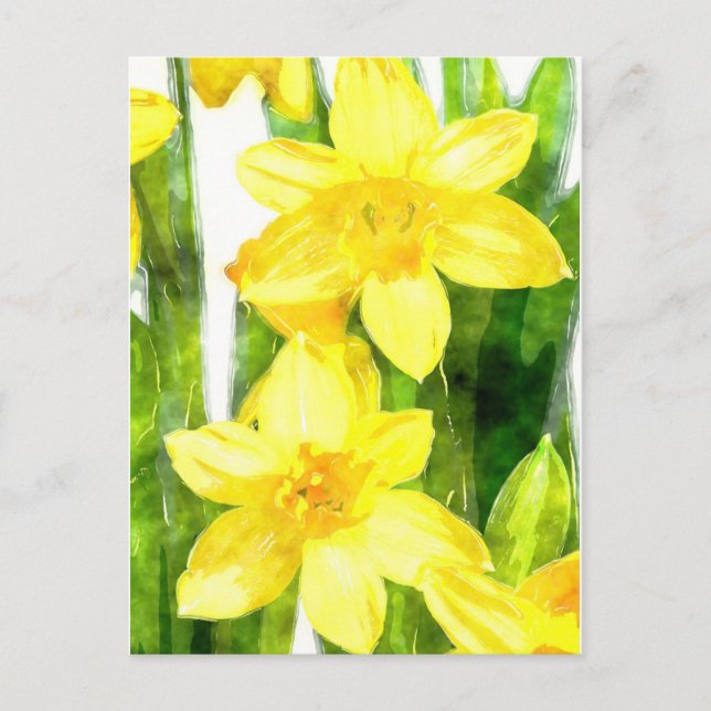 Carte postale avec jonquilles en aquarelle (Devant)