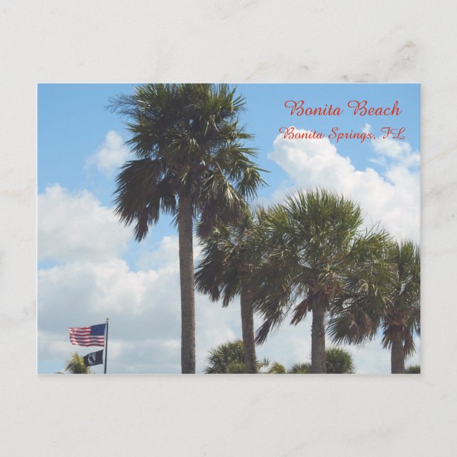 Carte postale avec palmiers sur la plage (Devant)