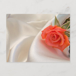 Carte postale avec rose