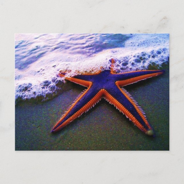 CARTE POSTALE AVENIR (Devant)