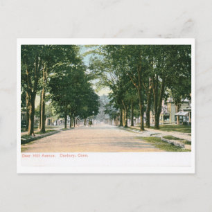 Carte Postale Avenue de colline de cerfs communs., cru de