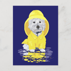 Carte Postale Averses d'avril Westie