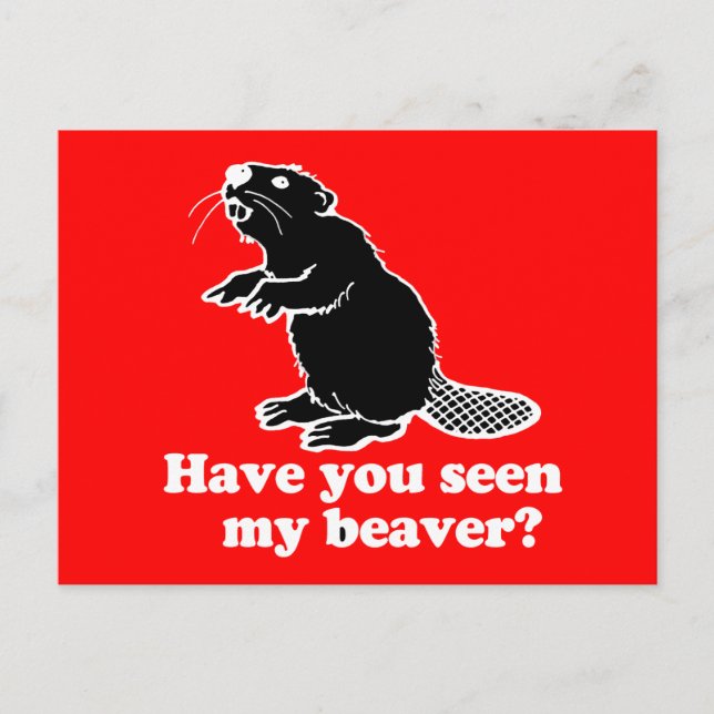 CARTE POSTALE AVEZ-VOUS VU MON BEAVER ? (Devant)