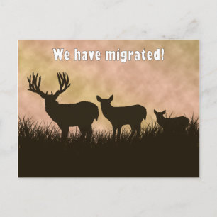 Carte Postale Avis de changement d'adresse pour la chasse au cer