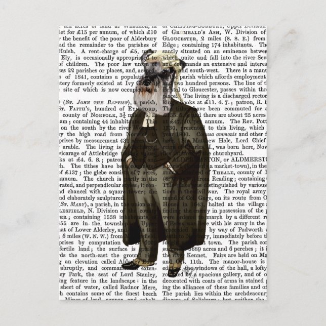 Carte Postale Avocat Schnauzer (Devant)