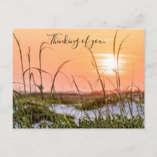 Carte Postale Avoines de mer de Floride Lever de soleil Pensées 
